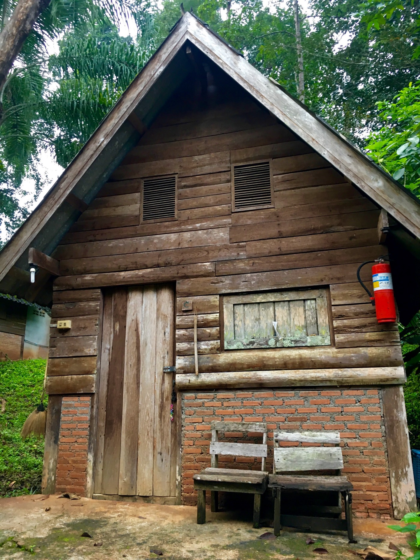 Jungle House: Insectos incluidos